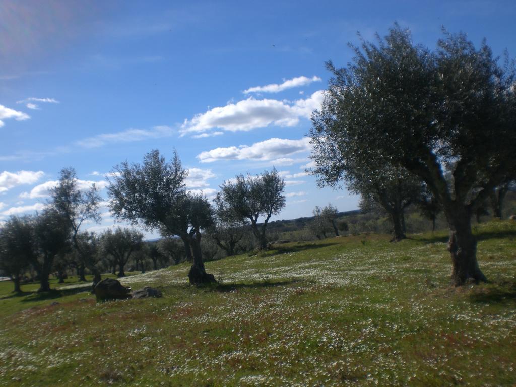 Fortios Tapada Da Eira E Chanca מראה חיצוני תמונה
