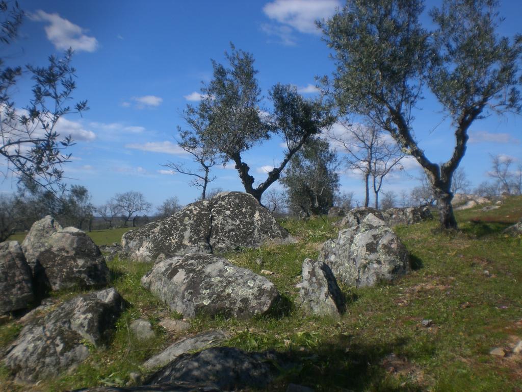 Fortios Tapada Da Eira E Chanca מראה חיצוני תמונה